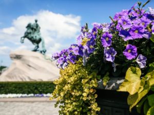 Подробнее о статье Поздравляем с Днём города!